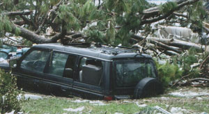 jeep crushed by hurricane Katrina